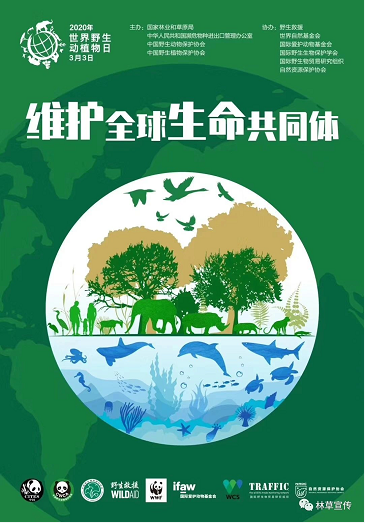 zoty中欧·(中国有限公司)官方网站