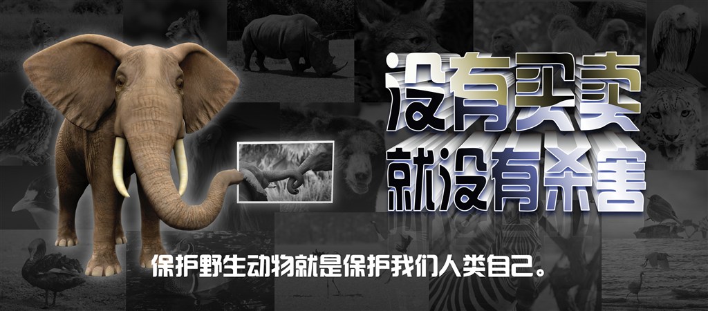zoty中欧·(中国有限公司)官方网站