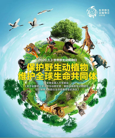 zoty中欧·(中国有限公司)官方网站